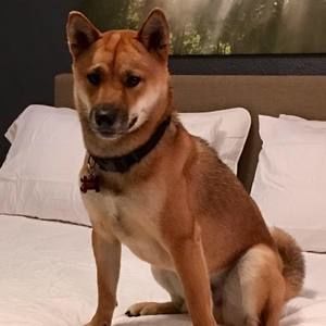 Meet your Posher, Allan-aileen guangco